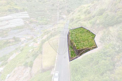 Terra em Calheta, Madeira, Calheta - € 135.000 | Ref: 123511098-158 - foto 17