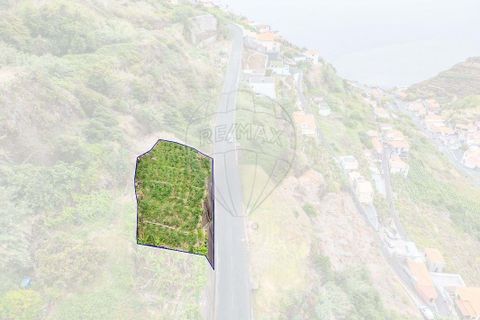 Terra em Calheta, Madeira, Calheta - € 135.000 | Ref: 123511098-158 - foto 20