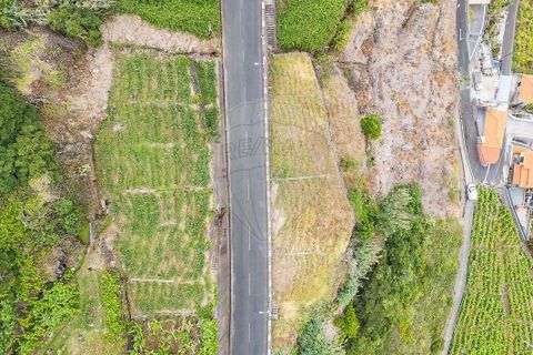 Helårsgrund i Calheta, Madeira, Calheta - € 225.000 | Ref: 123511098-159 - foto 4
