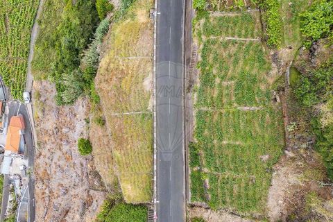 Helårsgrund i Calheta, Madeira, Calheta - € 225.000 | Ref: 123511098-159 - foto 5