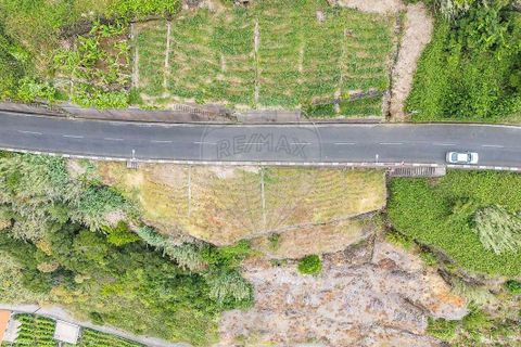 Helårsgrund i Calheta, Madeira, Calheta - € 225.000 | Ref: 123511098-159 - foto 6