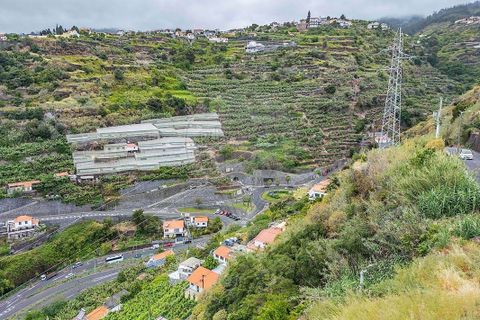 Helårsgrund i Calheta, Madeira, Calheta - € 225.000 | Ref: 123511098-159 - foto 11