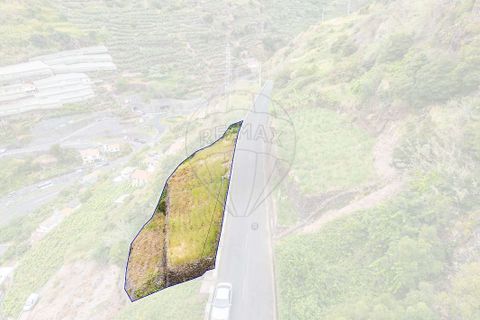 Terra em Calheta, Madeira, Calheta - € 225.000 | Ref: 123511098-159 - foto 16