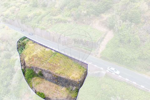 Terra em Calheta, Madeira, Calheta - € 225.000 | Ref: 123511098-159 - foto 17