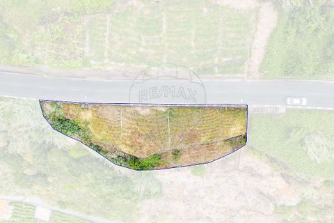 Terra em Calheta, Madeira, Calheta - € 225.000 | Ref: 123511098-159 - foto 18