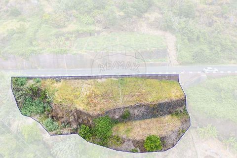 Terra em Calheta, Madeira, Calheta - € 225.000 | Ref: 123511098-159 - foto 19