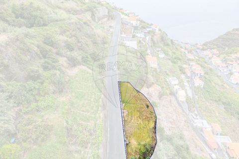 Terra em Calheta, Madeira, Calheta - € 225.000 | Ref: 123511098-159 - foto 20