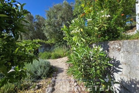 Villa a Tomar, Santarem, Tomar - € 215.000 | Ref: 534/26 - foto 10