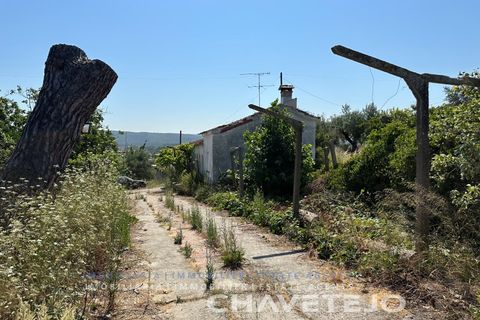 Farm i Tomar, Santarem, Tomar - € 150.000 | Ref: 701/26 - foto 3