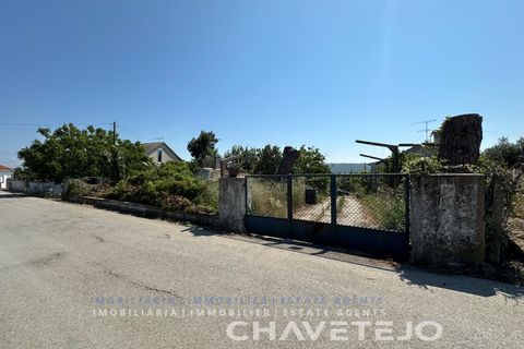 Farm i Tomar, Santarem, Tomar - € 150.000 | Ref: 701/26 - foto 4