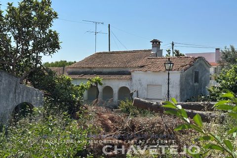 Farm i Tomar, Santarem, Tomar - € 150.000 | Ref: 701/26 - foto 15