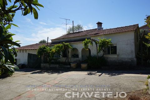 Farm i Tomar, Santarem, Tomar - € 150.000 | Ref: 701/26 - foto 17