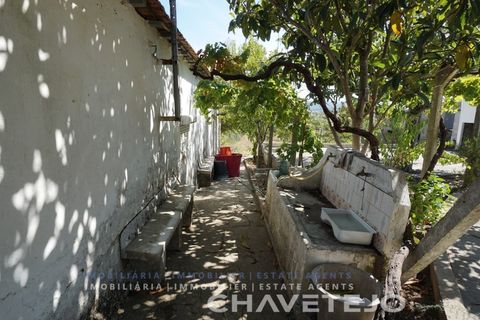 Farm i Tomar, Santarem, Tomar - € 150.000 | Ref: 701/26 - foto 18