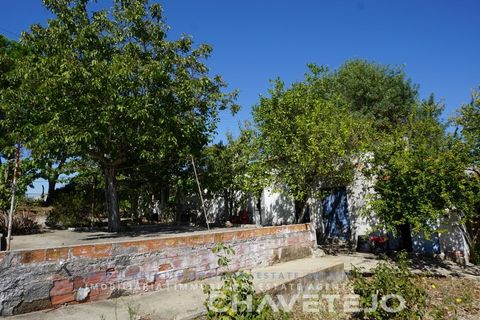 Farm i Tomar, Santarem, Tomar - € 150.000 | Ref: 701/26 - foto 19
