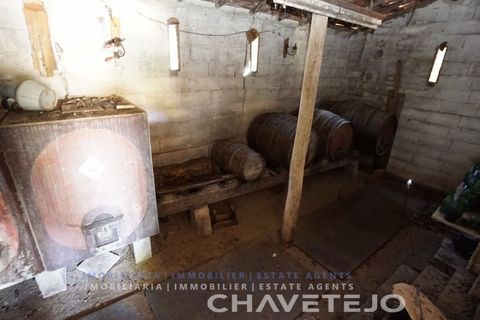 Farm i Tomar, Santarem, Tomar - € 150.000 | Ref: 701/26 - foto 20