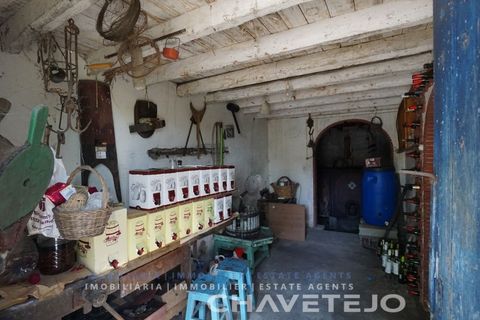 Farm i Tomar, Santarem, Tomar - € 150.000 | Ref: 701/26 - foto 22