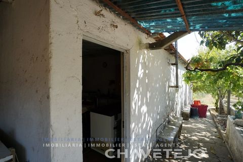 Farm i Tomar, Santarem, Tomar - € 150.000 | Ref: 701/26 - foto 31