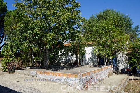 Farm i Tomar, Santarem, Tomar - € 150.000 | Ref: 701/26 - foto 32