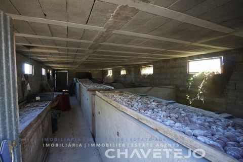 Farm i Tomar, Santarem, Tomar - € 150.000 | Ref: 701/26 - foto 33
