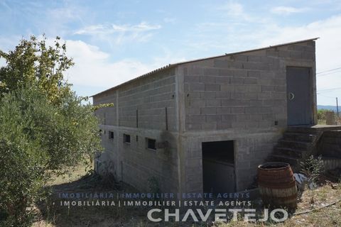 Farm i Tomar, Santarem, Tomar - € 150.000 | Ref: 701/26 - foto 34