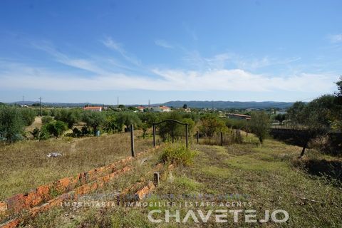 Farm i Tomar, Santarem, Tomar - € 150.000 | Ref: 701/26 - foto 35