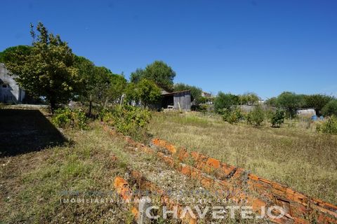 Farm i Tomar, Santarem, Tomar - € 150.000 | Ref: 701/26 - foto 36