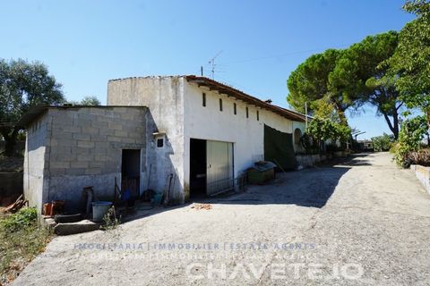 Farm i Tomar, Santarem, Tomar - € 150.000 | Ref: 701/26 - foto 37