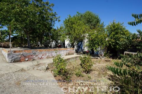 Farm i Tomar, Santarem, Tomar - € 150.000 | Ref: 701/26 - foto 38