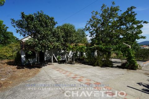 Farm i Tomar, Santarem, Tomar - € 150.000 | Ref: 701/26 - foto 39