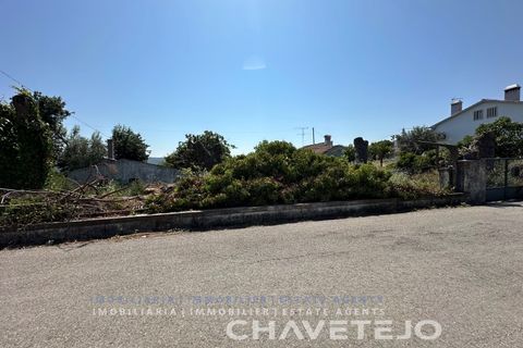 Farm i Tomar, Santarem, Tomar - € 150.000 | Ref: 701/26 - foto 41