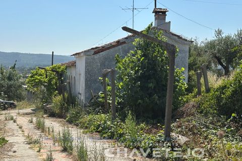 Farm i Tomar, Santarem, Tomar - € 150.000 | Ref: 701/26 - foto 44