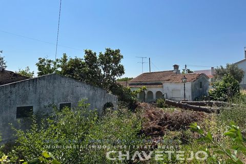 Farm i Tomar, Santarem, Tomar - € 150.000 | Ref: 701/26 - foto 45
