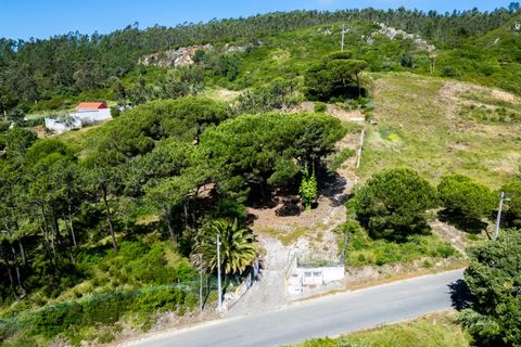 Helårsgrund i Nazare, Leiria, Nazare - € 110.000 | Ref: 060/2026.PA - foto 3