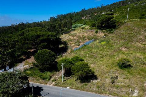 Helårsgrund i Nazare, Leiria, Nazare - € 110.000 | Ref: 060/2026.PA - foto 4