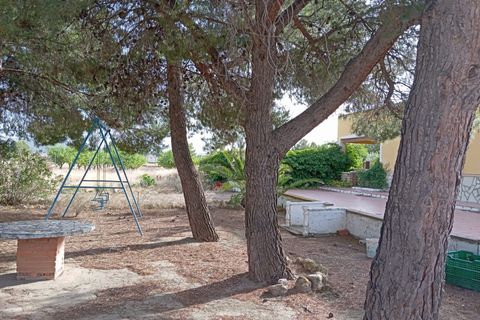 Haus in Yecla, Murcia, Yecla - € 180.000 | Ref: 40077-PB - Foto 2