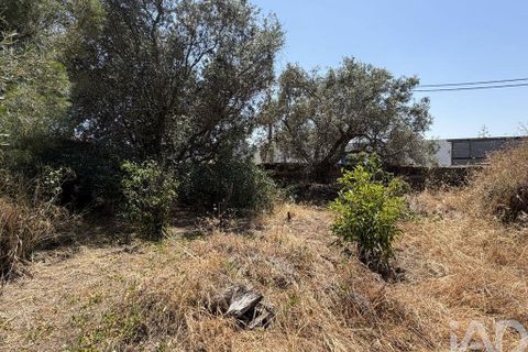 Byhus i Castro Verde, Beja, Castro Verde - € 65.000 | Ref: 954138 - foto 3