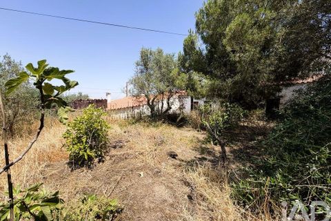 Byhus i Castro Verde, Beja, Castro Verde - € 65.000 | Ref: 954138 - foto 4