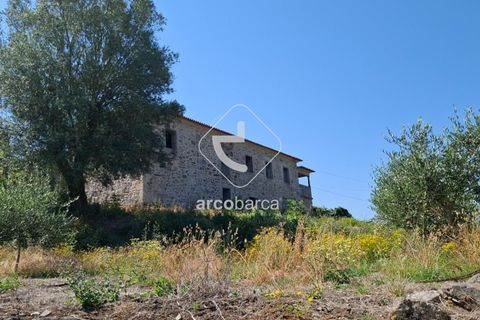 Farm i Ponte de Lima, Viana do Castelo, Ponte de Lima - € 500.000 | Ref: AV6736 - foto 5