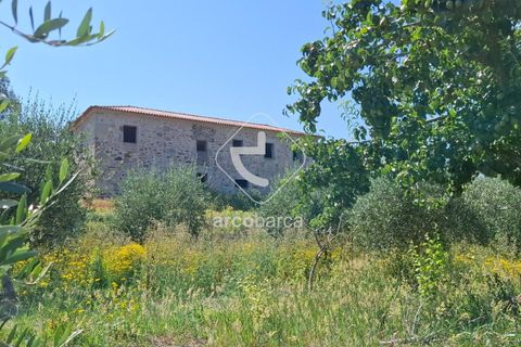 Farm i Ponte de Lima, Viana do Castelo, Ponte de Lima - € 500.000 | Ref: AV6736 - foto 6