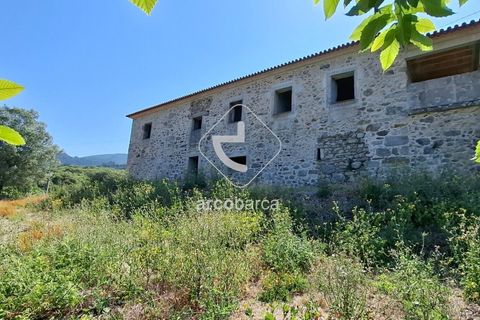 Farm i Ponte de Lima, Viana do Castelo, Ponte de Lima - € 500.000 | Ref: AV6736 - foto 8