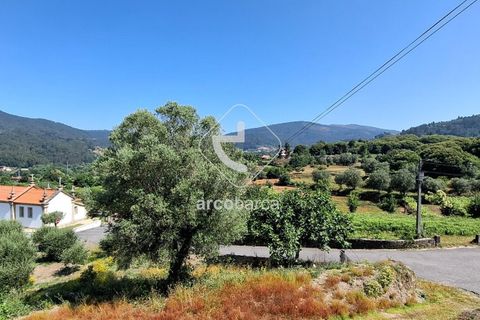 Farm i Ponte de Lima, Viana do Castelo, Ponte de Lima - € 500.000 | Ref: AV6736 - foto 13