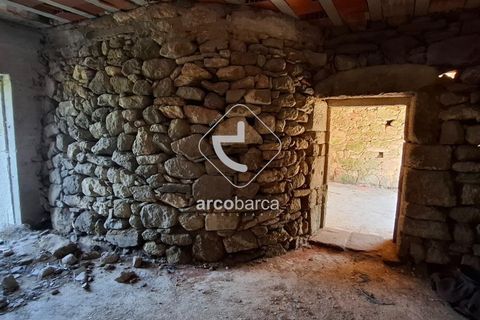 Farm i Ponte de Lima, Viana do Castelo, Ponte de Lima - € 500.000 | Ref: AV6736 - foto 15