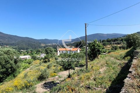 Farm i Ponte de Lima, Viana do Castelo, Ponte de Lima - € 500.000 | Ref: AV6736 - foto 21