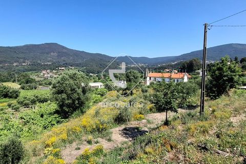 Farm i Ponte de Lima, Viana do Castelo, Ponte de Lima - € 500.000 | Ref: AV6736 - foto 22