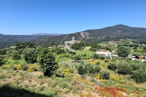 Farm i Ponte de Lima, Viana do Castelo, Ponte de Lima - € 500.000 | Ref: AV6736 - foto 23