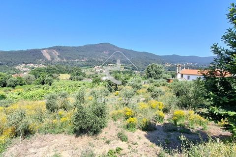 Farm i Ponte de Lima, Viana do Castelo, Ponte de Lima - € 500.000 | Ref: AV6736 - foto 24