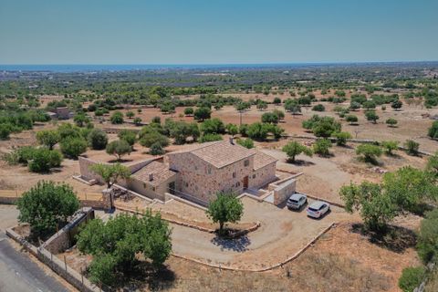Finca i Cala Millor, Mallorca, Cala Millor - € 2.810.000 | Ref: FALC-HeMa-86729 - foto 27