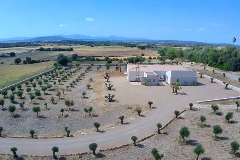 Landejendom i Manacor, Mallorca, Manacor - € 2.290.000 | Ref: 5577900 - LF1046 - foto 1