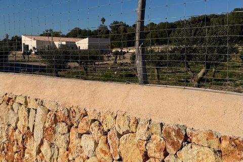 Landejendom i Manacor, Mallorca, Manacor - € 2.290.000 | Ref: 5577900 - LF1046 - foto 33