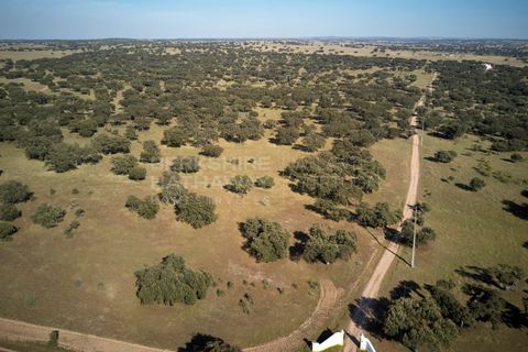 Masia a Monforte, Portalegre, Monforte - € 3.200.000 | Ref: EXP_1390 - foto 5